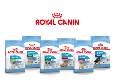 best dog food brands in india